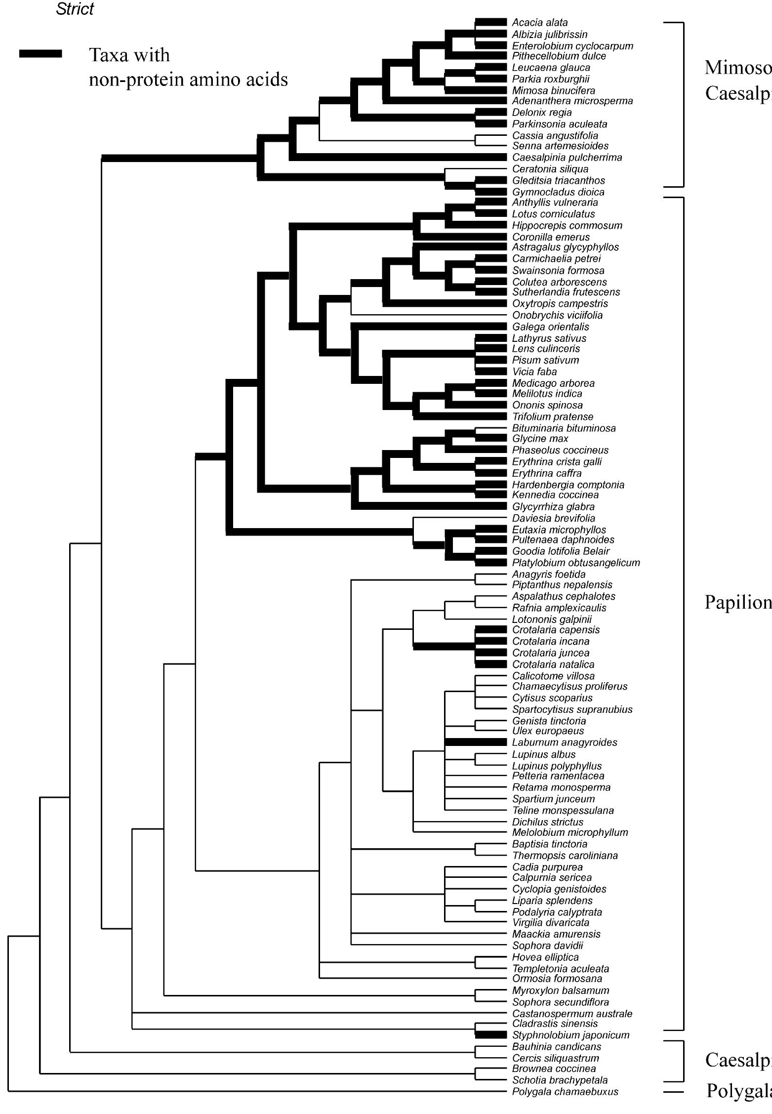 (PDF) Evolution of secondary metabolites from an ecological and ...