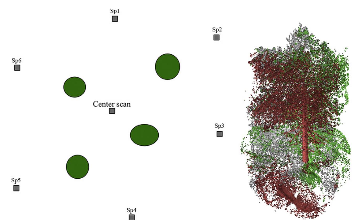Figure 2 - from Individual tree biomass estimation using