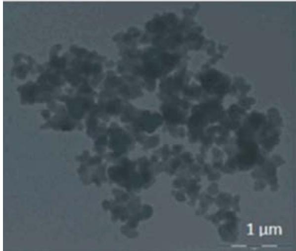 Iron Sem Sem image of iron nanoparticles sem images of iron: the