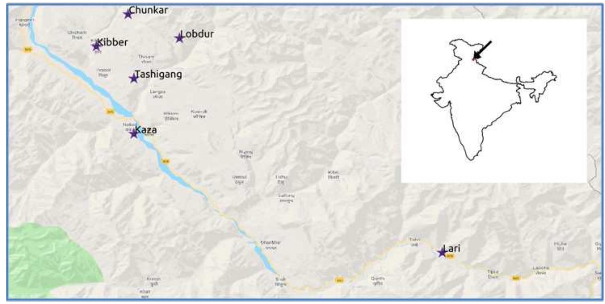 Figure 1. Map of Spiti with 5 study locations.  Many studies have reported increased cortisol levels in wild animals due to human activities- e.g., snow- mobiles increased stress in wolves and elk’, ski tourism 