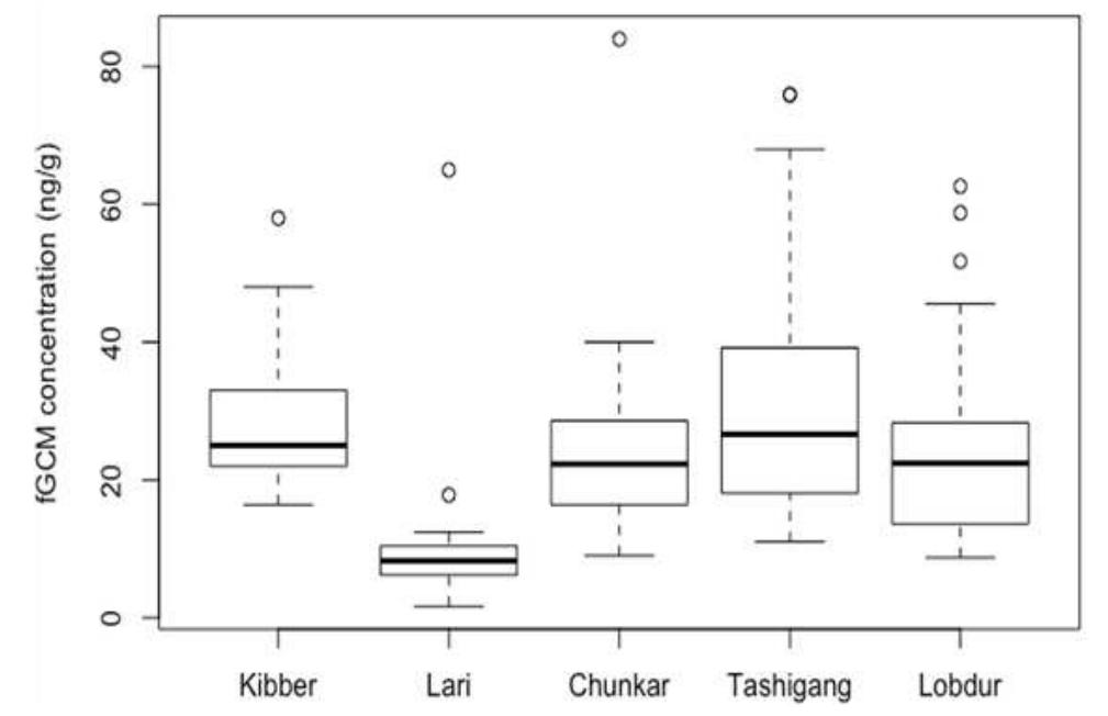 Figure 2.  Box-plot showing fGCM concentrations in blue populations of five study areas.  We also looked at variation in fGCM among the age-sex classes within populations. We found that Adult Females (AF) had higher fGCM concentrations (mean = 25.18+2.37 ng/g) than adult males (AM; mean = 21.8841.55 ng/g) in most locations (Figure 4), and these differences were statistically significant for Kibber (M-W U test: p = 0.01) and for Tashigang (p = 0.011). The exception to this pattern is Lari, where both male  and female cortiso  levels each have one outlier. Even  in Lari, AF have higher fGCM than AM if the outliers  are removed. Fur  her, AF also had higher fGCM  concentrations than young in most locations (Figure 4), and these were statistically significant in Lobdur (M-W U  test: p = 0.0048) and  Kibber (p = 0.0611). 