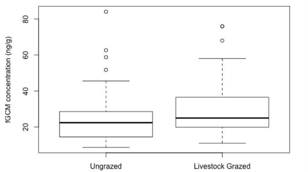 Figure 3. fGCM concentrations in livestock-grazed (Kibber  + Tashigang) areas versus ungrazed Reserves (Chunkar + Lobdur). 