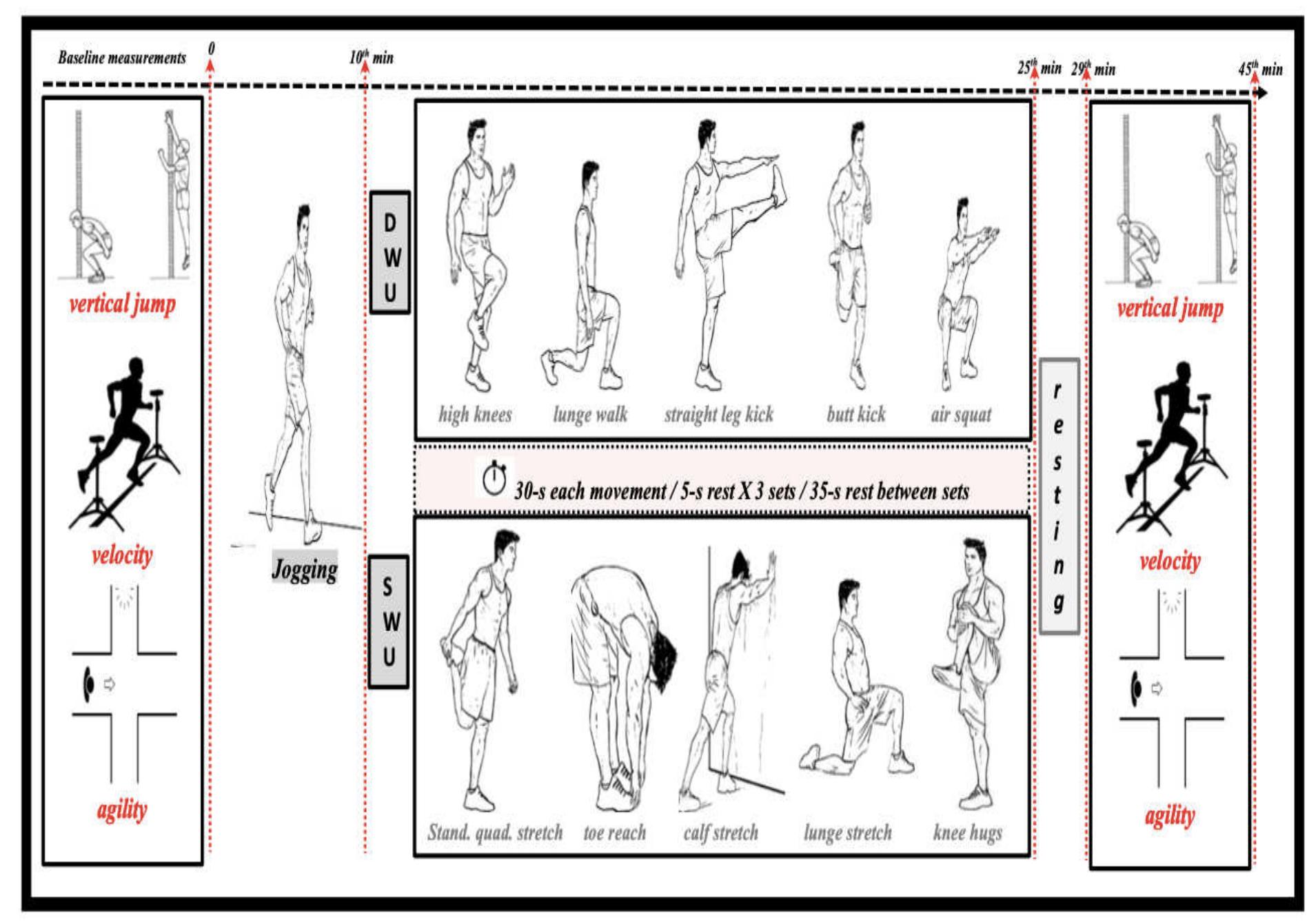 Figure 1 - from Dynamic & Static-stretching Warm-up