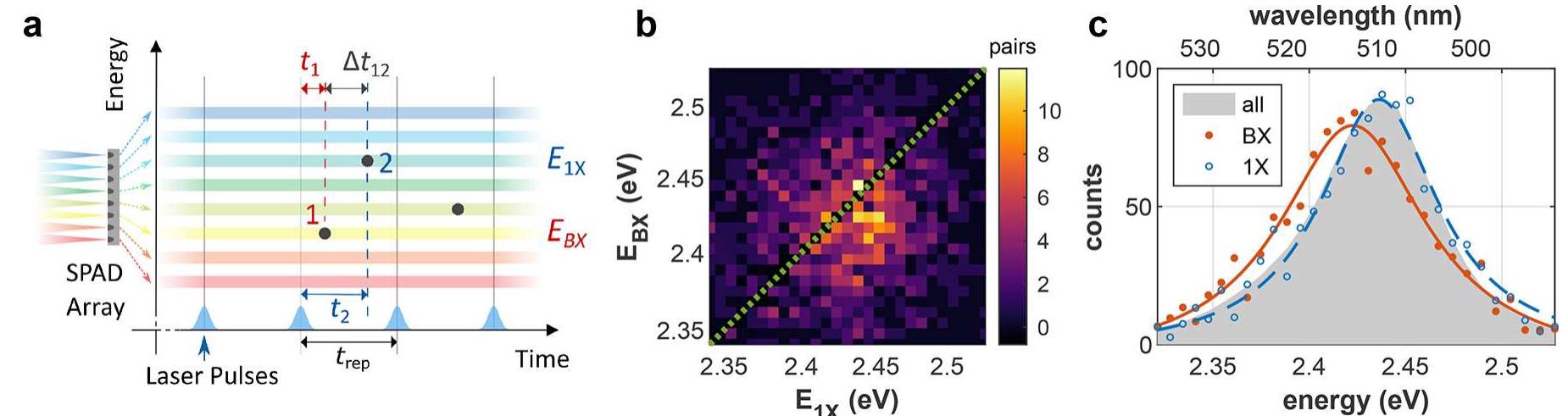 Spectrometer Pixel Array Heralded spectroscopy of a single particle. (a) a schematic