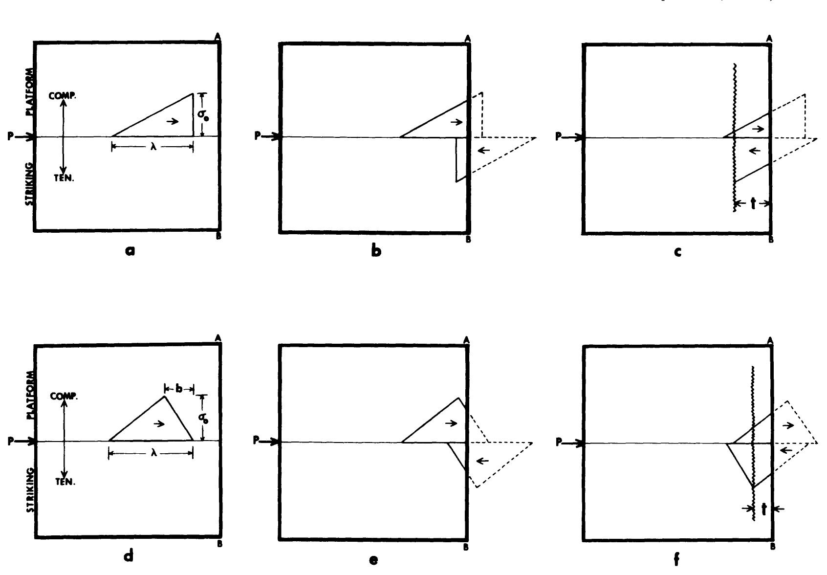 Figure 3 - from 1972 Speth (Mechanical Basis Percussion