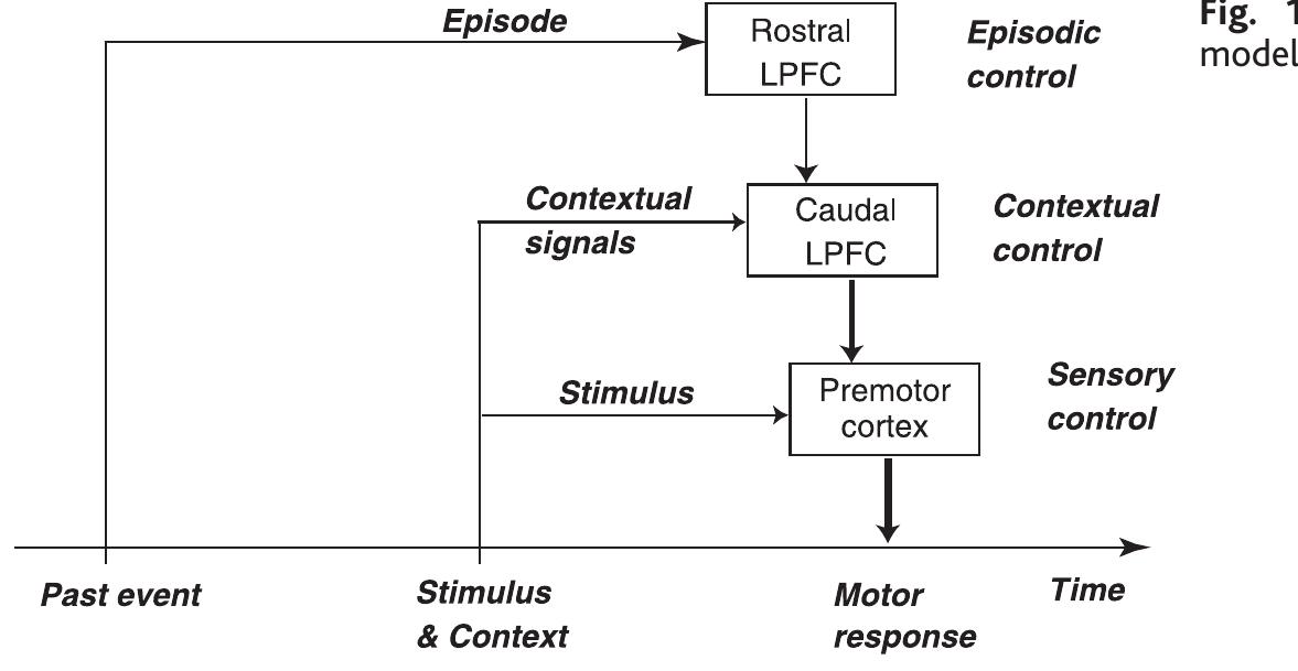 (PDF) The Architecture of Cognitive Control in the Human Prefrontal Cortex