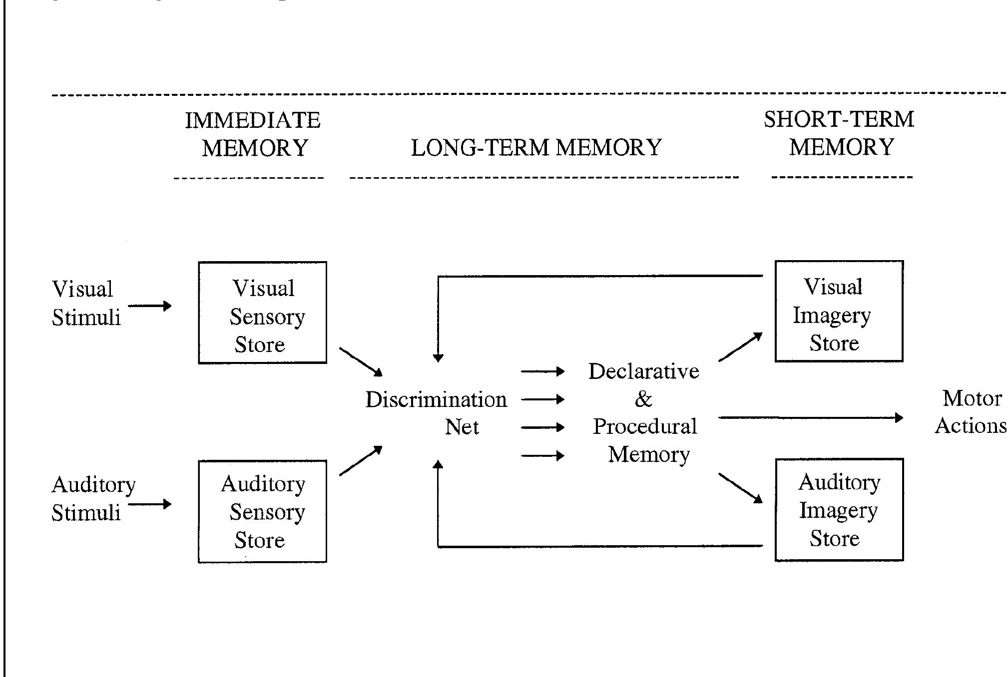 The visual sensory memory corresponds to sperling’s (1960,