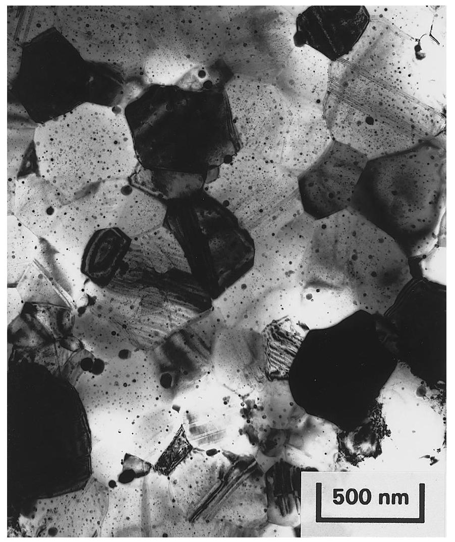 Transmission electron micrograph showing a uniform