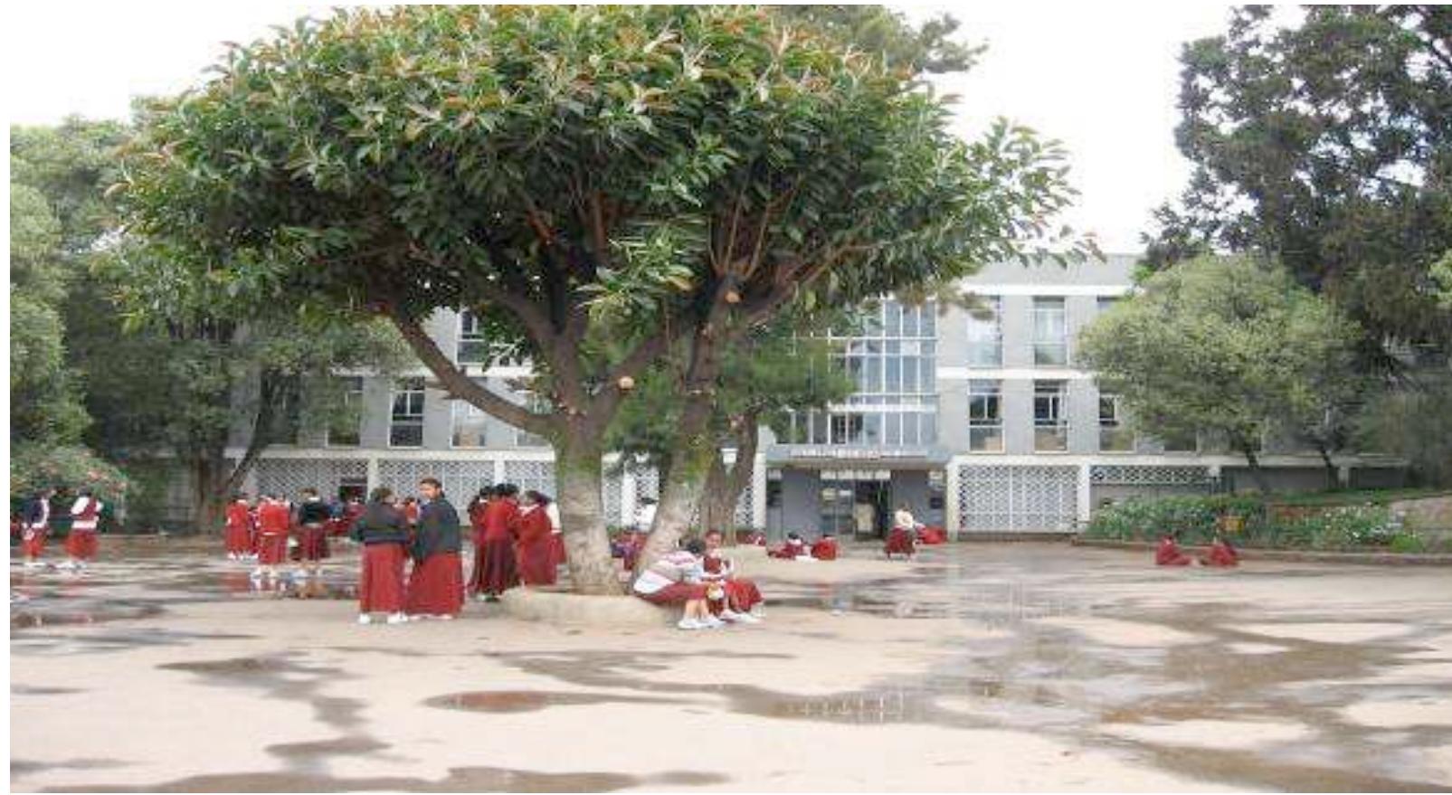 Figure 5: Some students in teams discussing their last lesson in a Catholic school Source: Author. Photo taken during data collection, 2006.  Observations of the students’ school experiences inside and outside the classrooms also indicated that students of the Catholic school spend most of their time through interaction with the teacher and their fellow students - unlike the case in the Government schools. For instance, students of the Catholic school were observed outside the classroom discussing an issue raised in their English class (see Figure 5). 