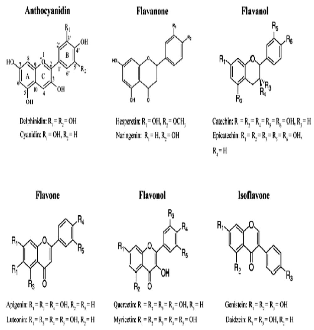 ; chemical structure of the different sub-classes of