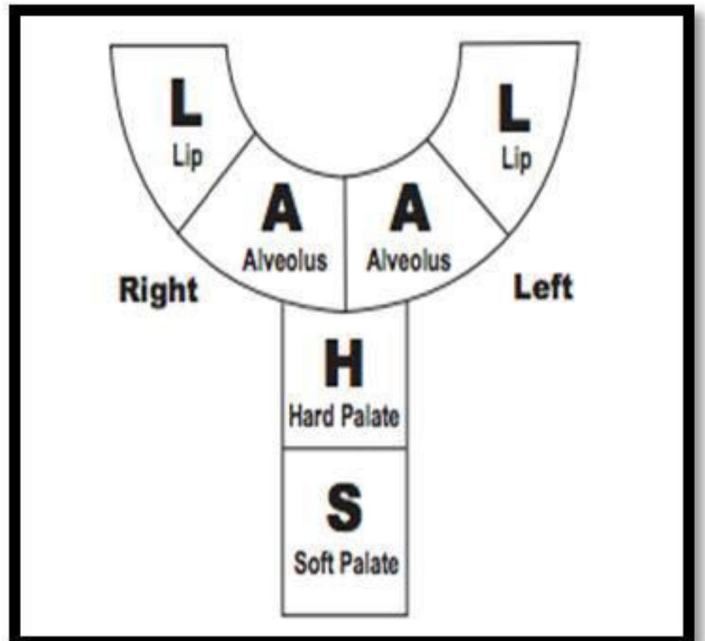 Lahsal Classification Examples (PDF) A Case of Cheilognathopalatoschisis in a Simmental Breed Calf: A ...