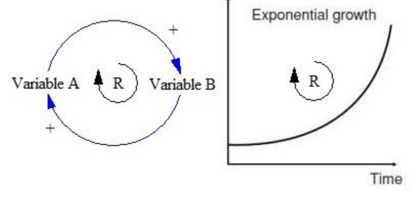 -6: example of a reinforcing loop