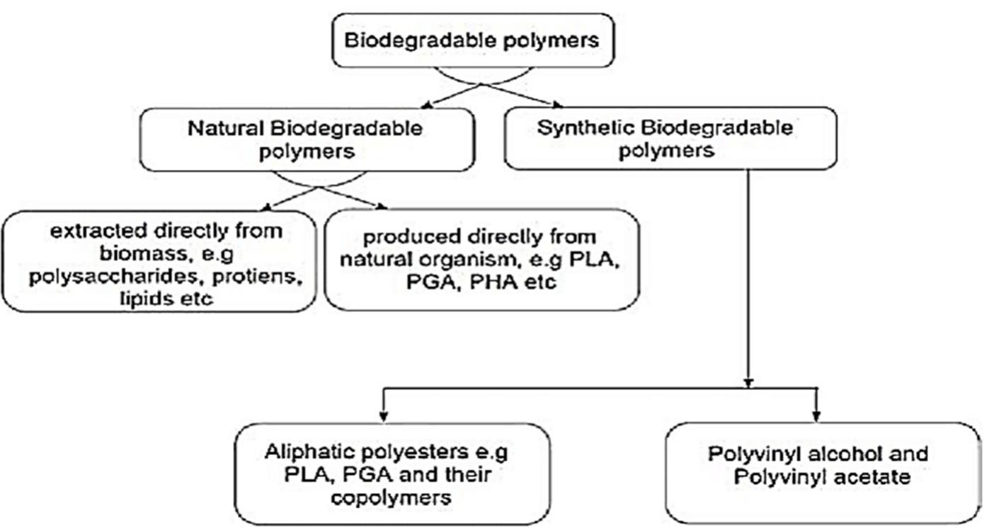 The biodegradable classification of polymers constituents in