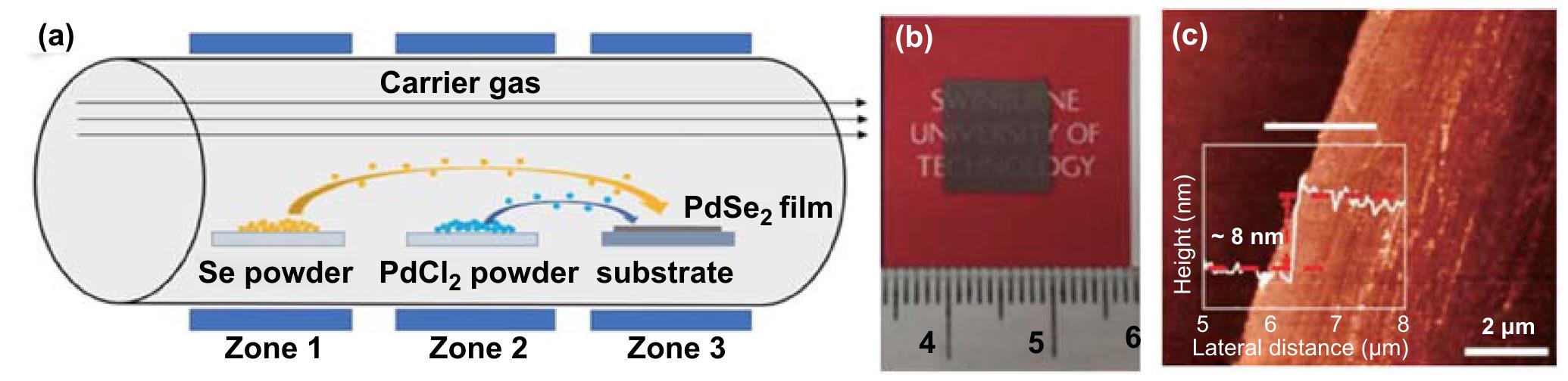 Pdse A schematic of pdse, synthesis process using cvd method. b,