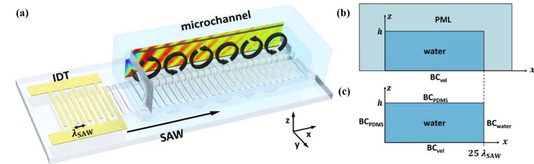 FIG. 1. (a) Concept image showing vortices and acoustic radiation forces in a microchannel with the application of a traveling surface acoustic wave (SAW). (b) The simulation modeling domain with a perfectly matched layer (PML) for the top and side walls (used in Fig. 2). (c) The simulation modeling domain, with impedance boundary conditions for polydimethylsiloxane (PDMS) on the top and left walls and  water on the rightmost wall (used in Figs. 3 and 4). Both have a traveling-wave velocity boundary condition on the lithium niobate substrate (LiNbO; ). The modeling domain length in the x direction is 25Agaw. The phase velocity of the SAW is in the positive x direction. 