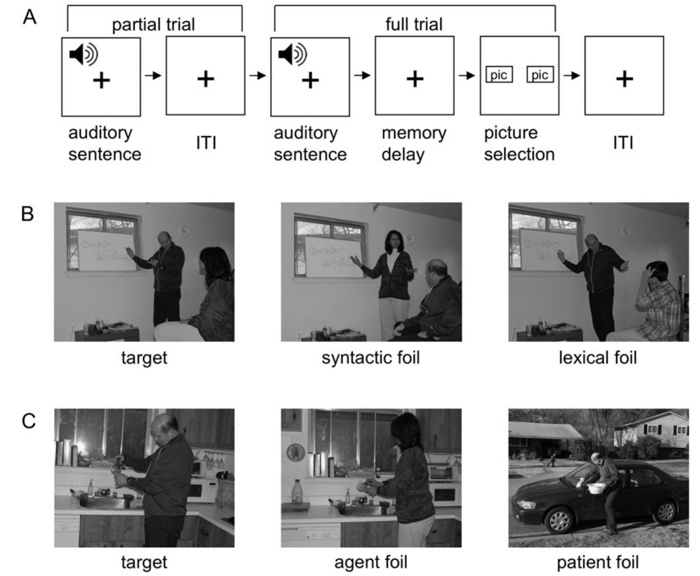 Figure 1. Task design. (A) Trial structure for the fMRI experiment, in which both “partial trials” (sentence only) and “full trials” (sentence and pictures) were presented, in order to disambiguate hemodynamic responses for the 2 events. (B) A sample picture set for the reversible sentence “The woman who the man is teaching is very tired right now.” The target shows the correct arrangement. A syntactic foil has the thematic roles of the 2 named actors switched, whereas a lexical foil (not used in the fMRI experiment) substitutes  one of the actors. (C) A sample picture set for the irreversible sentence “The glass that the man is washing has a small chip in it.” 