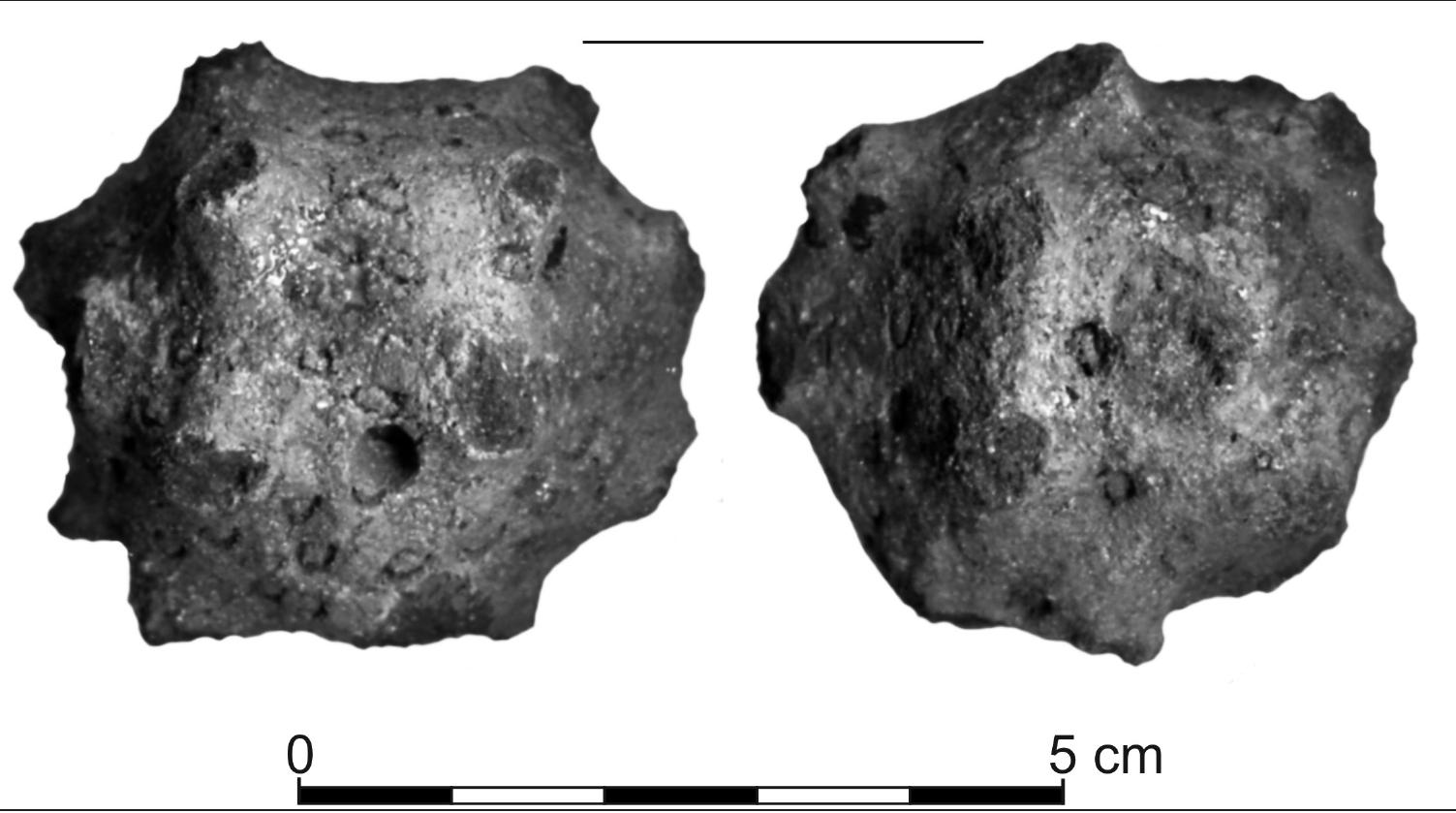 Fig. 9. Krakow, Stare Miasto (Old Town), Jagiellonian University’s Ogréd Profesorski, trench 1/07. Late Medieval clav rattle Prenared bv TJ]. Bak  ing by M. Goras and D. Niemiec 