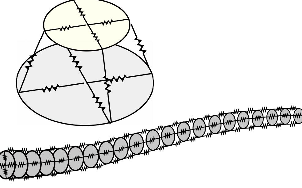 Octopus Hydrostat 4 a biologically plausible model of an octopus arm (adapted