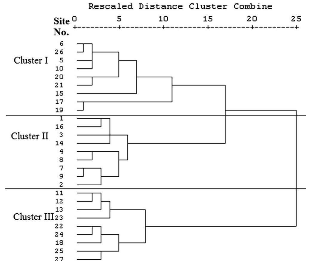 The resulting dendrogram using ward method showing the three