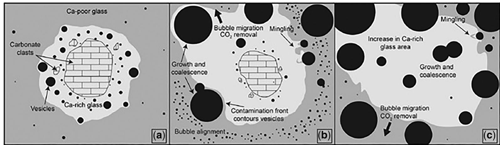 Glass Domain Schematic diagram depicting the three main stages of