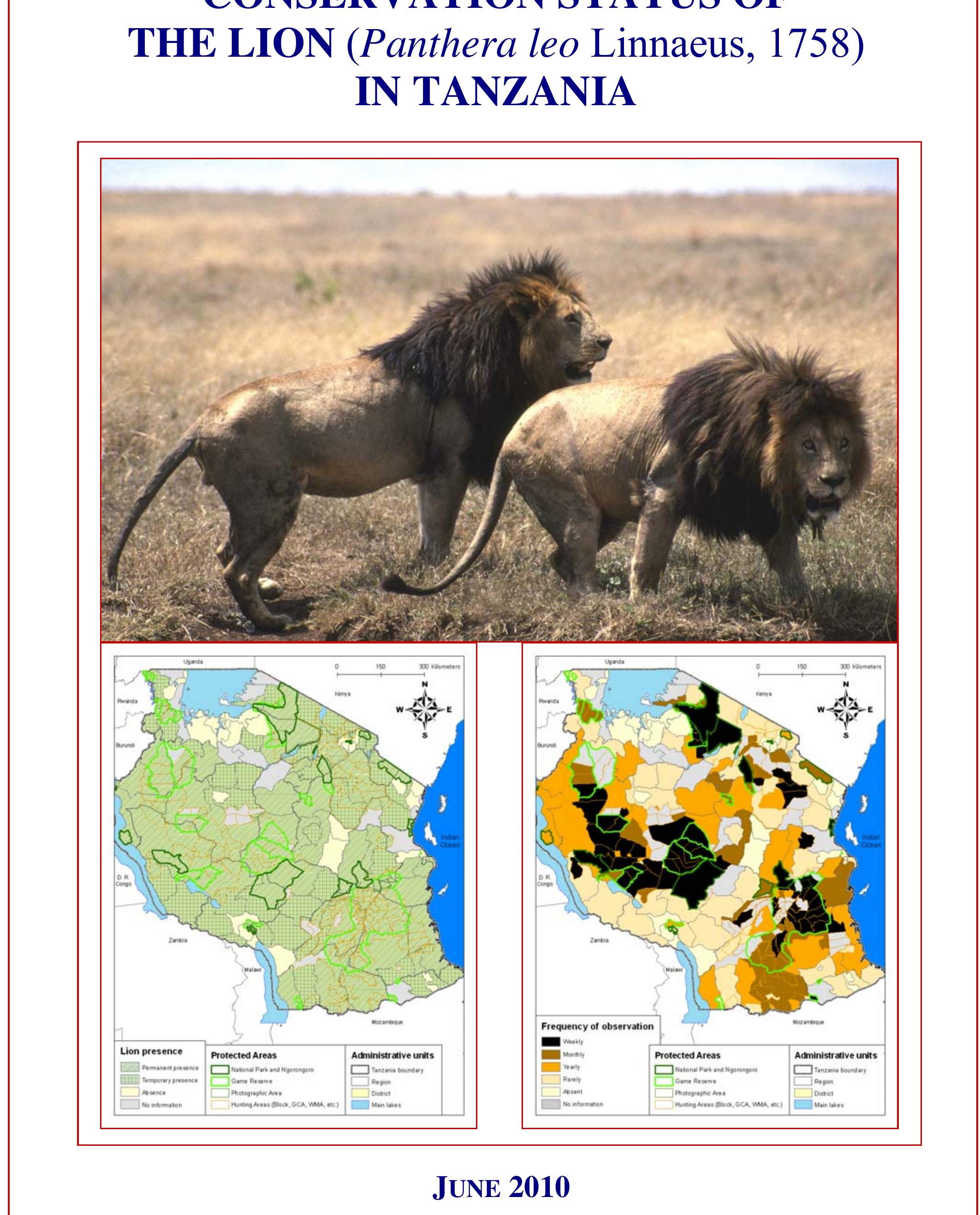 Simba Mickey Ears, image size:2125x2634