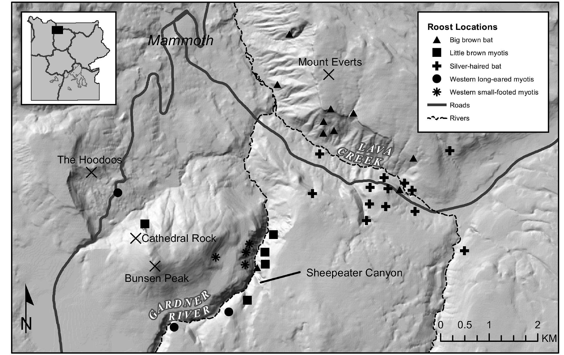 (PDF) Migratory and winter activity of bats in Yellowstone National Park