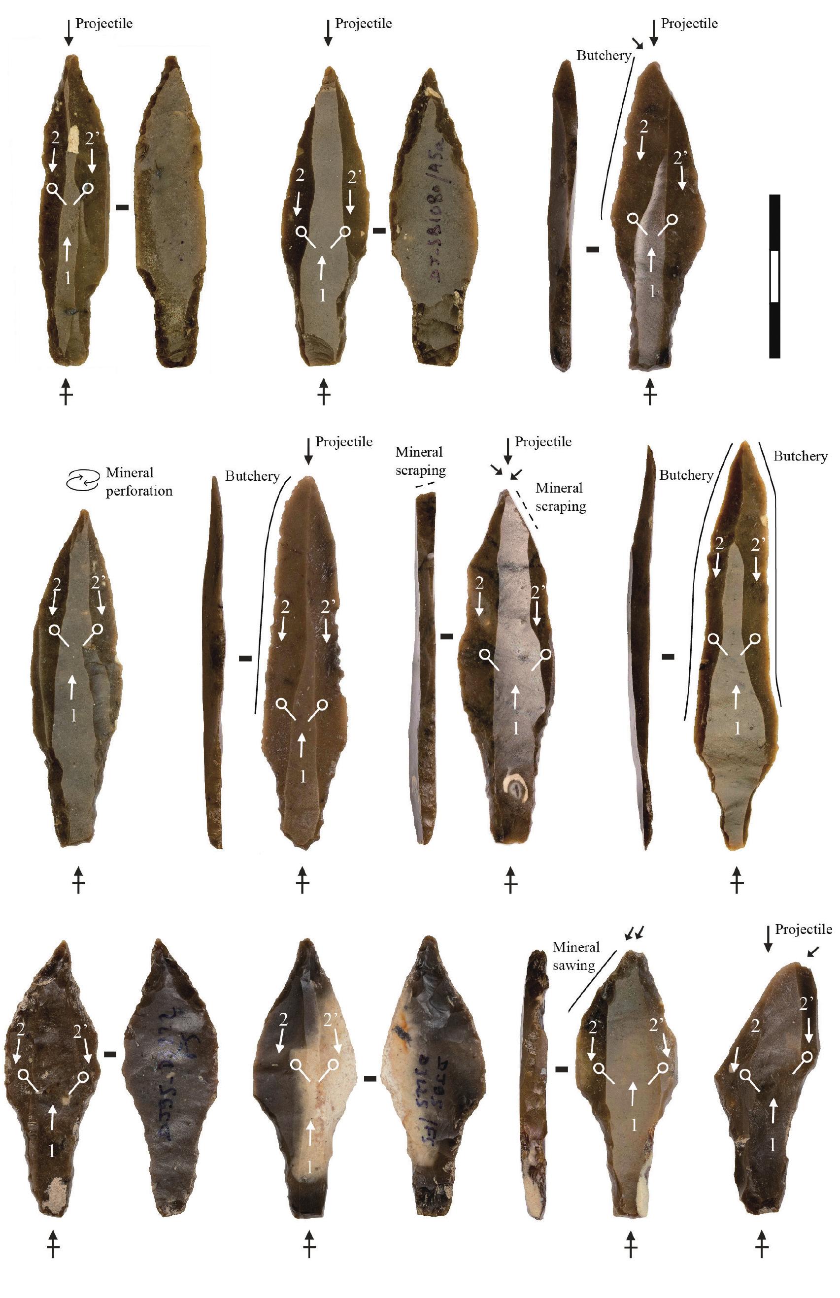 Dja’de, phase iii: byblos points on predetermined blades.