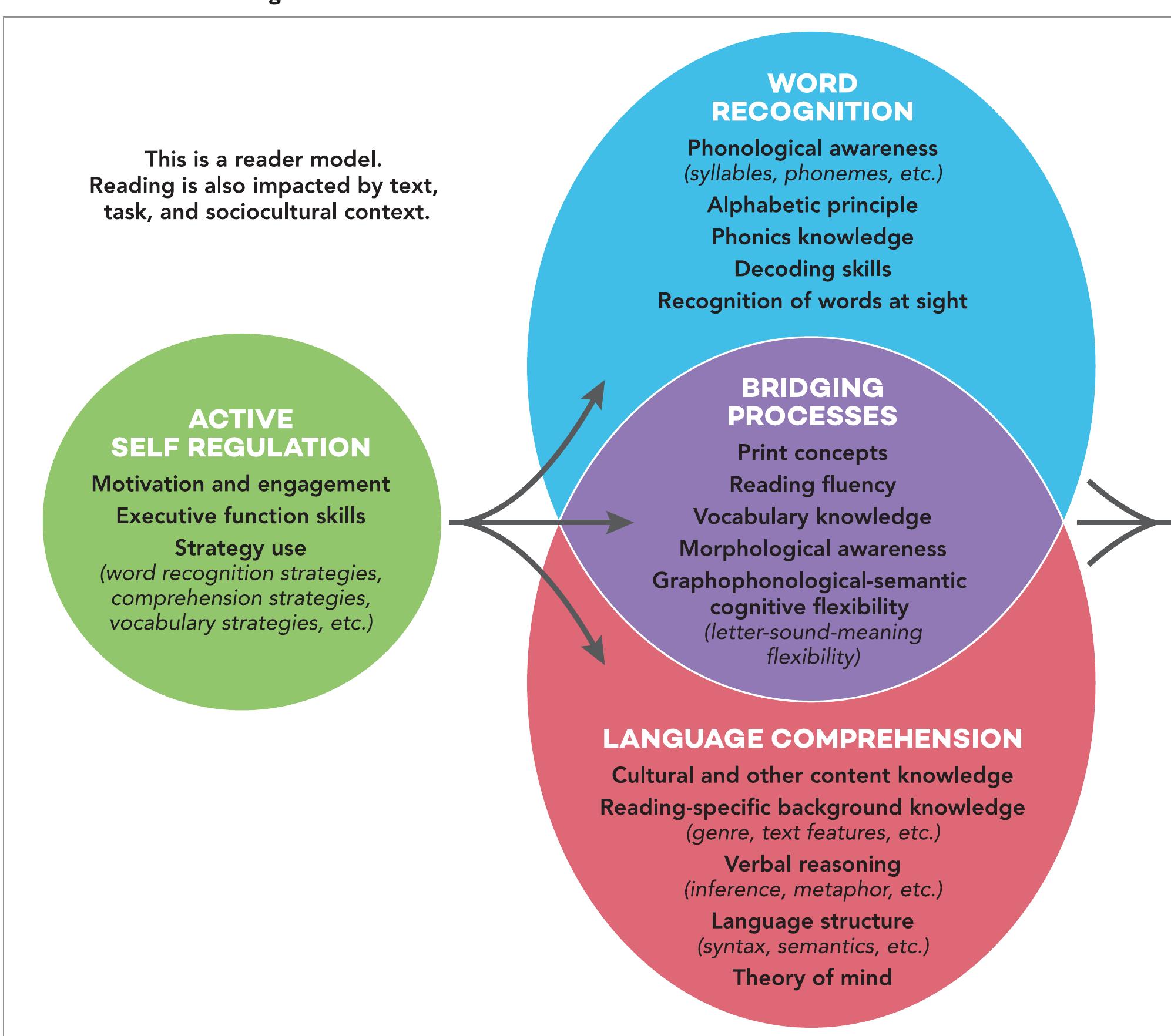 Science Reading Models (PDF) The Science of Reading Progresses: Communicating Advances Beyond ...