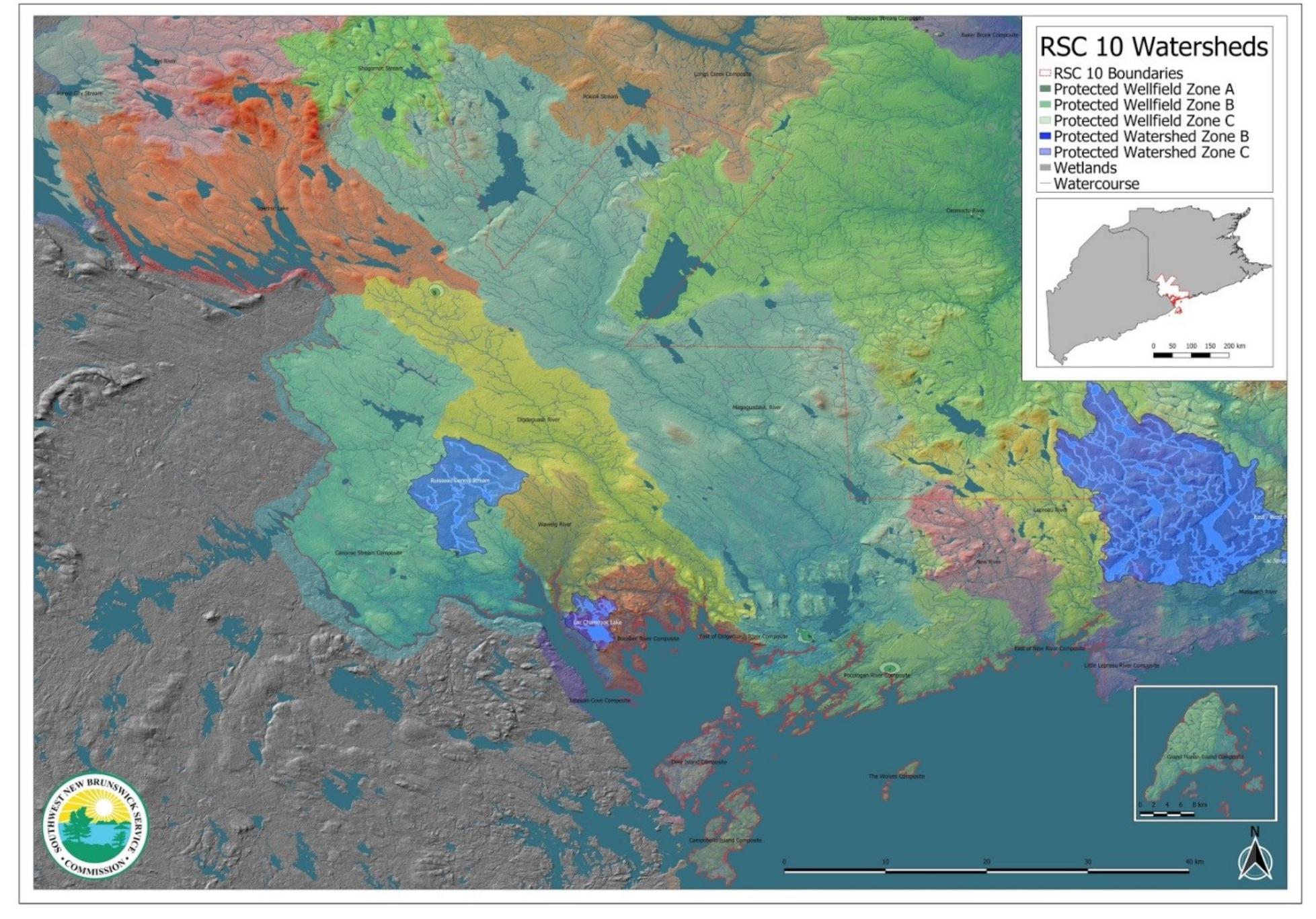PDF) Plenum Life: Formality in the Movement of Free Ecology