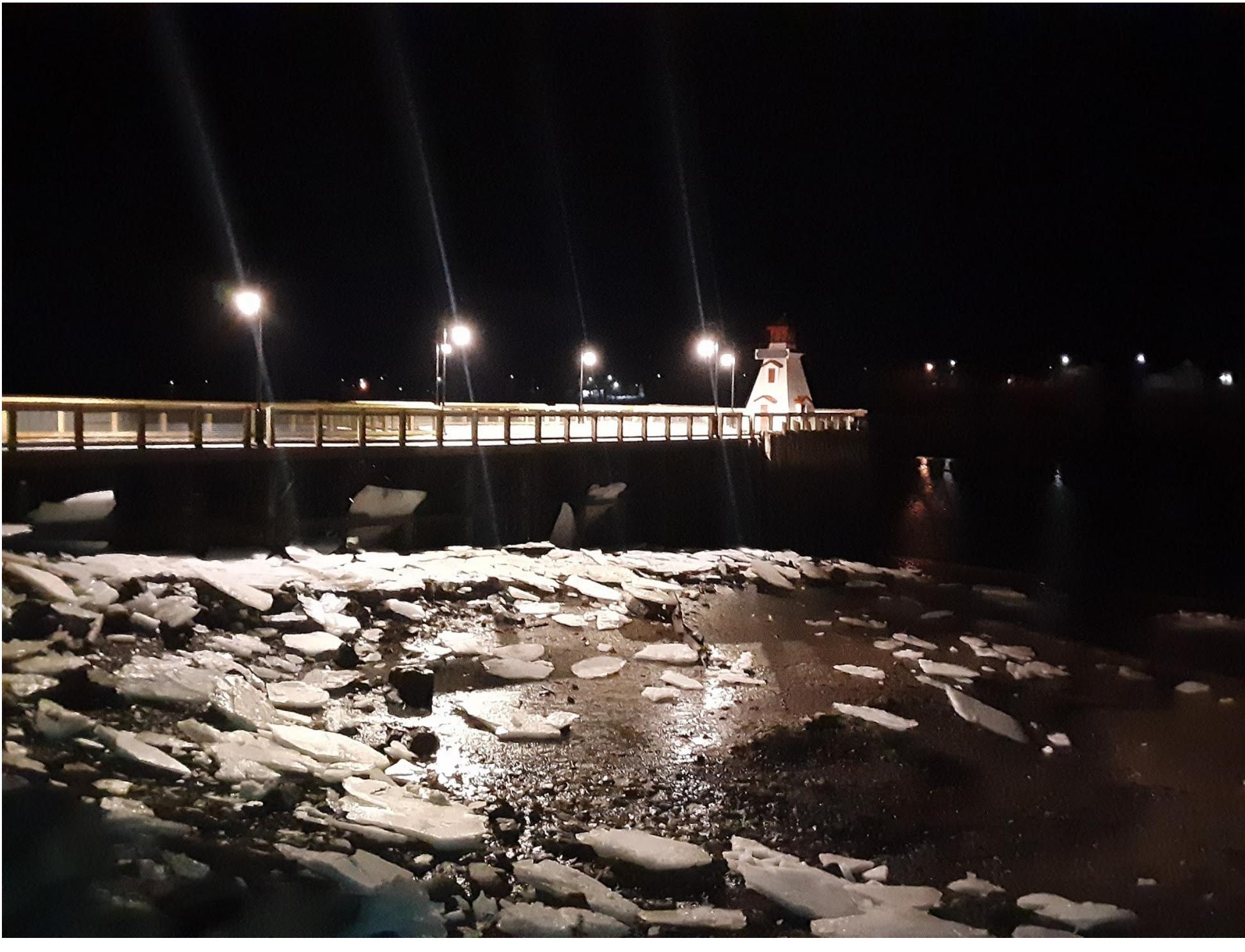 PDF) Plenum Life: Formality in the Movement of Free Ecology