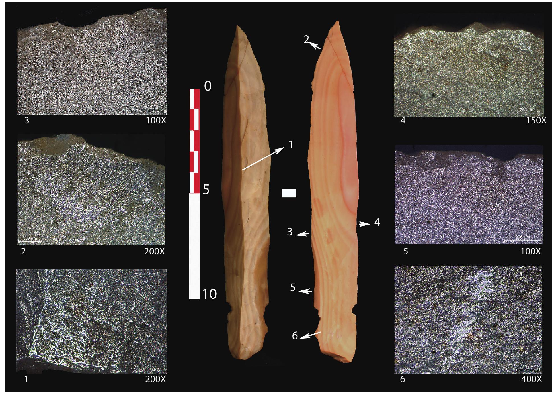 Fig. 7. Nahal Hemar knife found at Kharaysin showing use-wear traces of cutting animal tissue. Note that this is the largest Nahal Hemar knife found in the Near East. (1) Traces of friction in the dorsal ridge probably produced when packed together with other blades and transported; (2 and 3) Traces of cutting soft animal tissue; (4) Traces of scraping a hard material, most probably bone; (5) Microscarring probably related to the hafting system; (6) Traces of friction probably related to the hafting system. 
