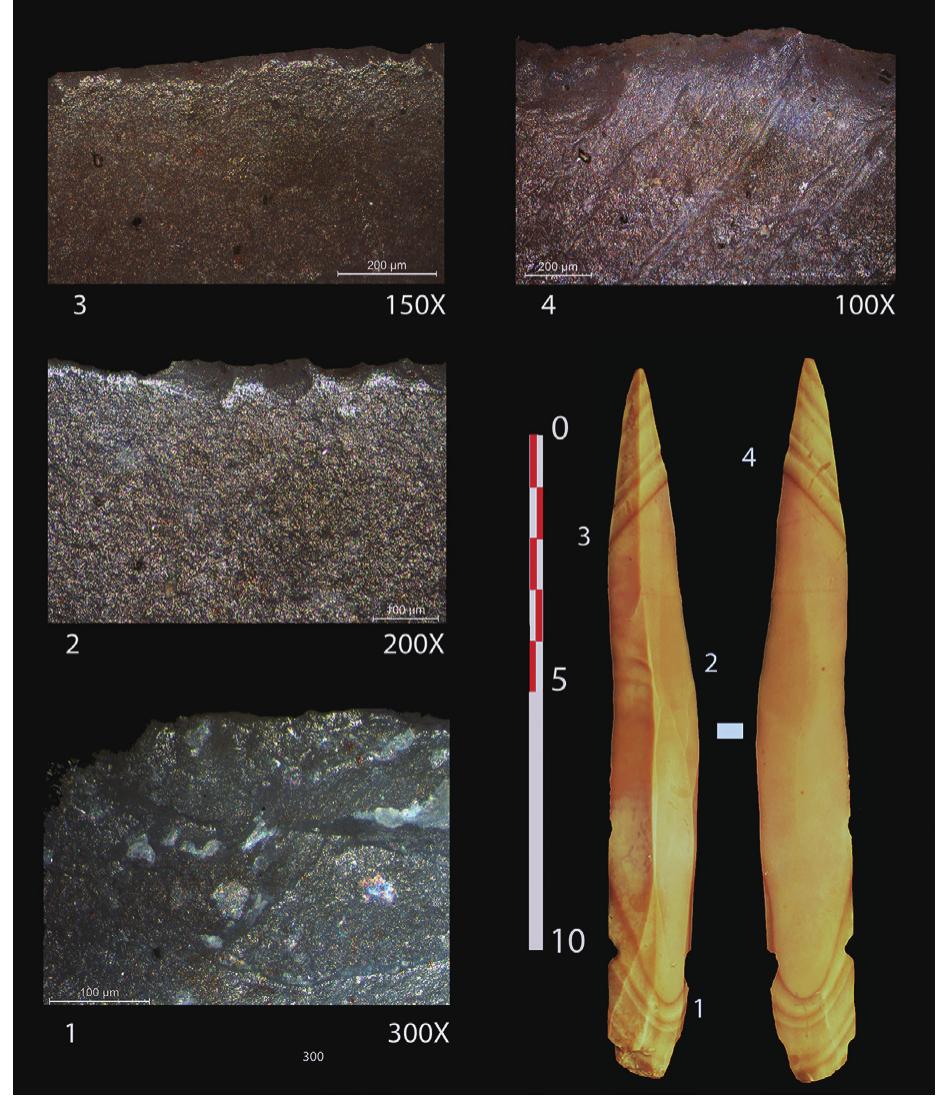 Fig. 12. (1) Microscarring related to hafting; (2, 3) Traces of scraping a hard material (bone); (4) Traces of cutting soft animal tissue. 