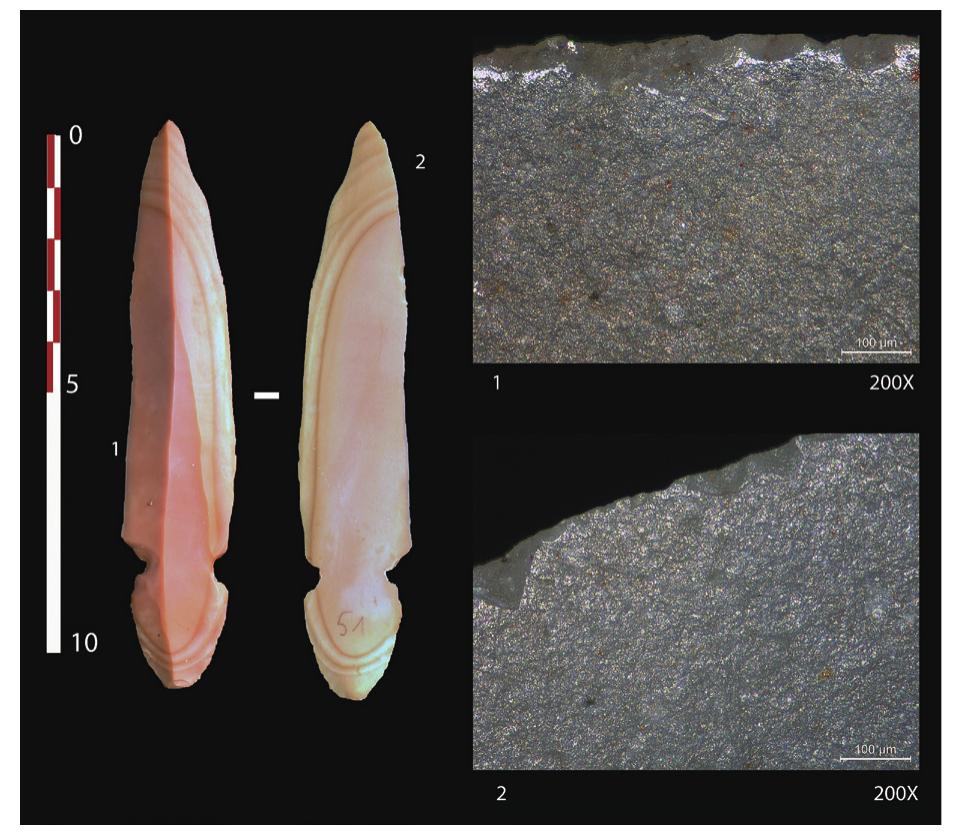 Fig. 13. (1) Traces of scraping a hard material (bone); (2) Traces of cutting soft animal tissue. 