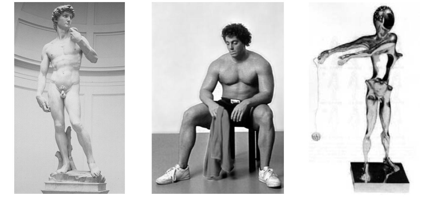 Fig. 3. Diachronia: Examples of how sculpture changes over time. (a, left) Michelangelo, David, 1504 (Photo: Bildarchiv Foto Marburg); (b, center) Duane Hanson, Bodybuilder, 1995 (© VG Bild-Kunst, Bonn 2005); (c, right) Salvador Dali, Hommage a Newton, 1980. (© Salvador Dali; Foundation Gala—Salvador Dali/VG Bild-Kunst, Bonn 2005) 