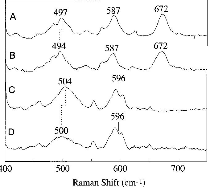 Resonance raman spectra of (a) [fe2(u-o)(u-oh)(4,6-
