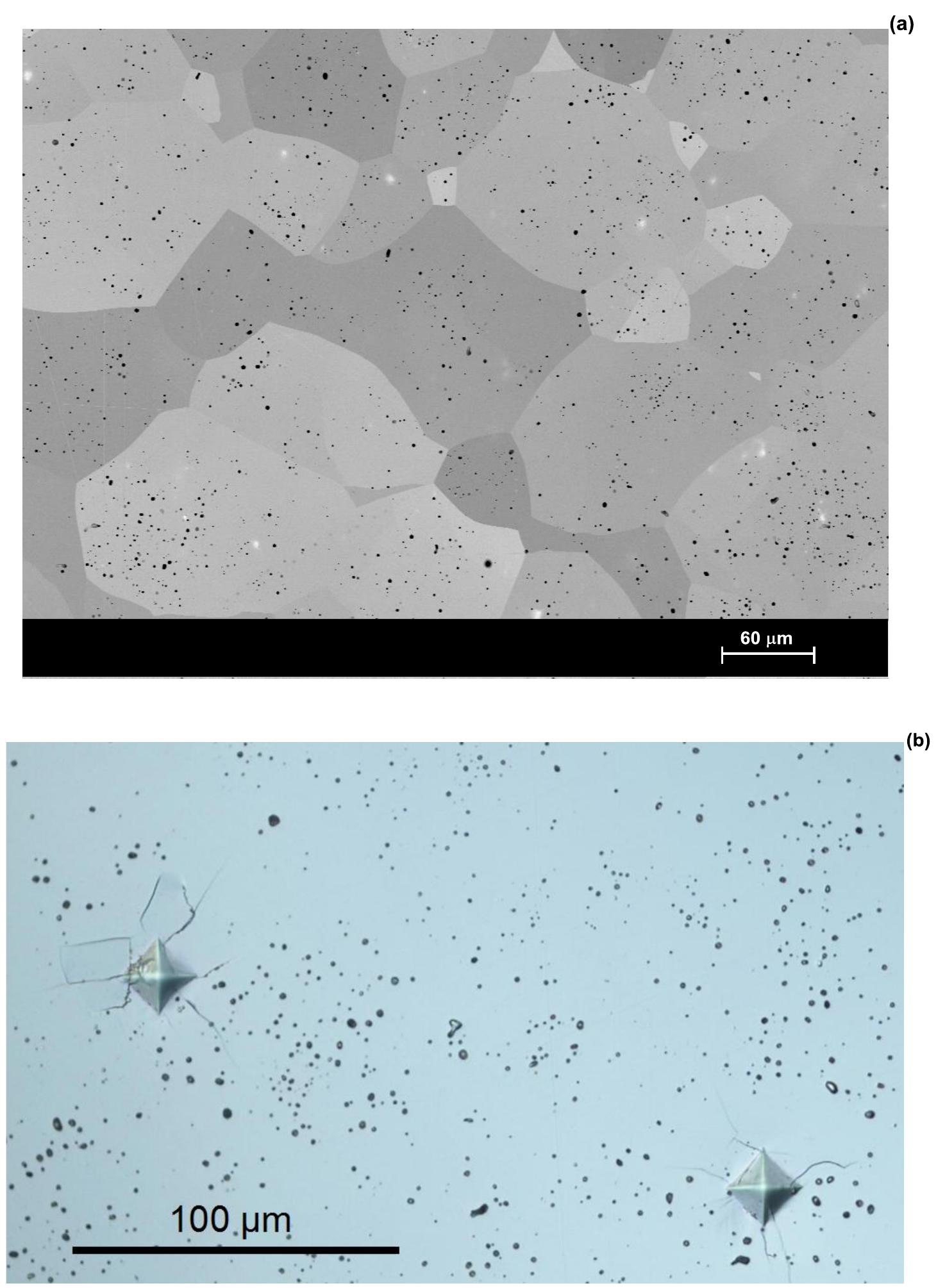 (a) microstructure of pure nbc showing porosity inside the