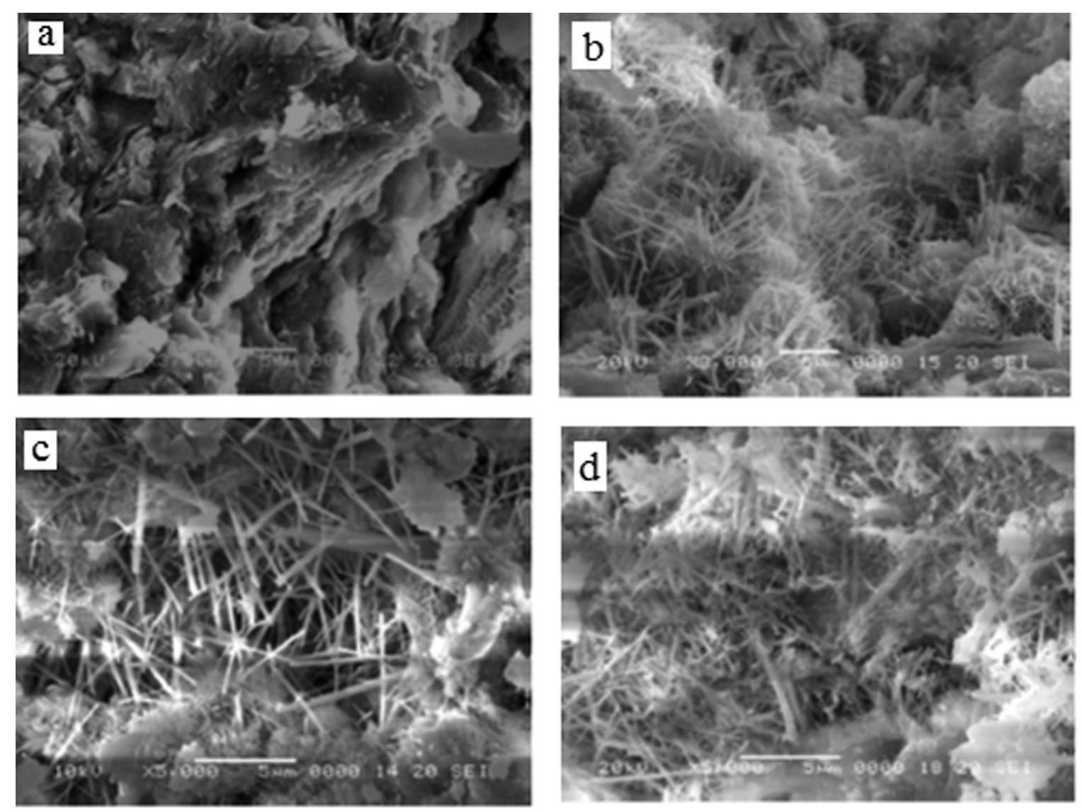 (PDF) The significance of scanning electron microscopy (SEM) analysis ...
