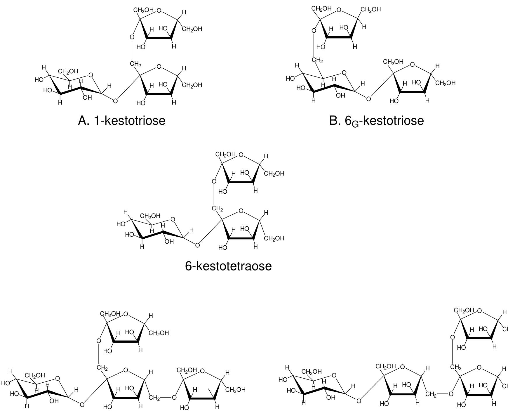 Structure of fructooligosaccharides (adapted from sims