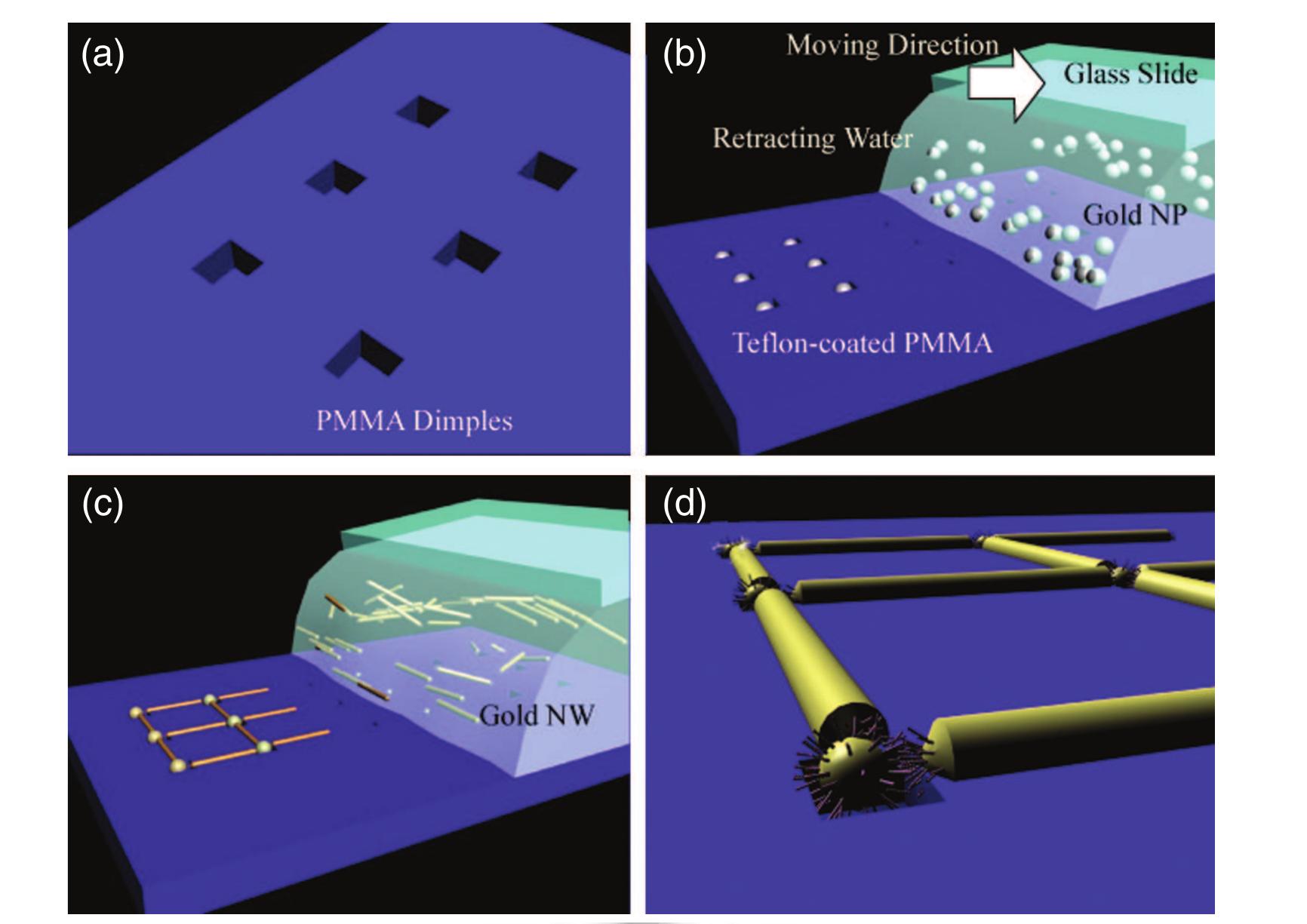 Conceptual schematics on the colloidal assembly technique.