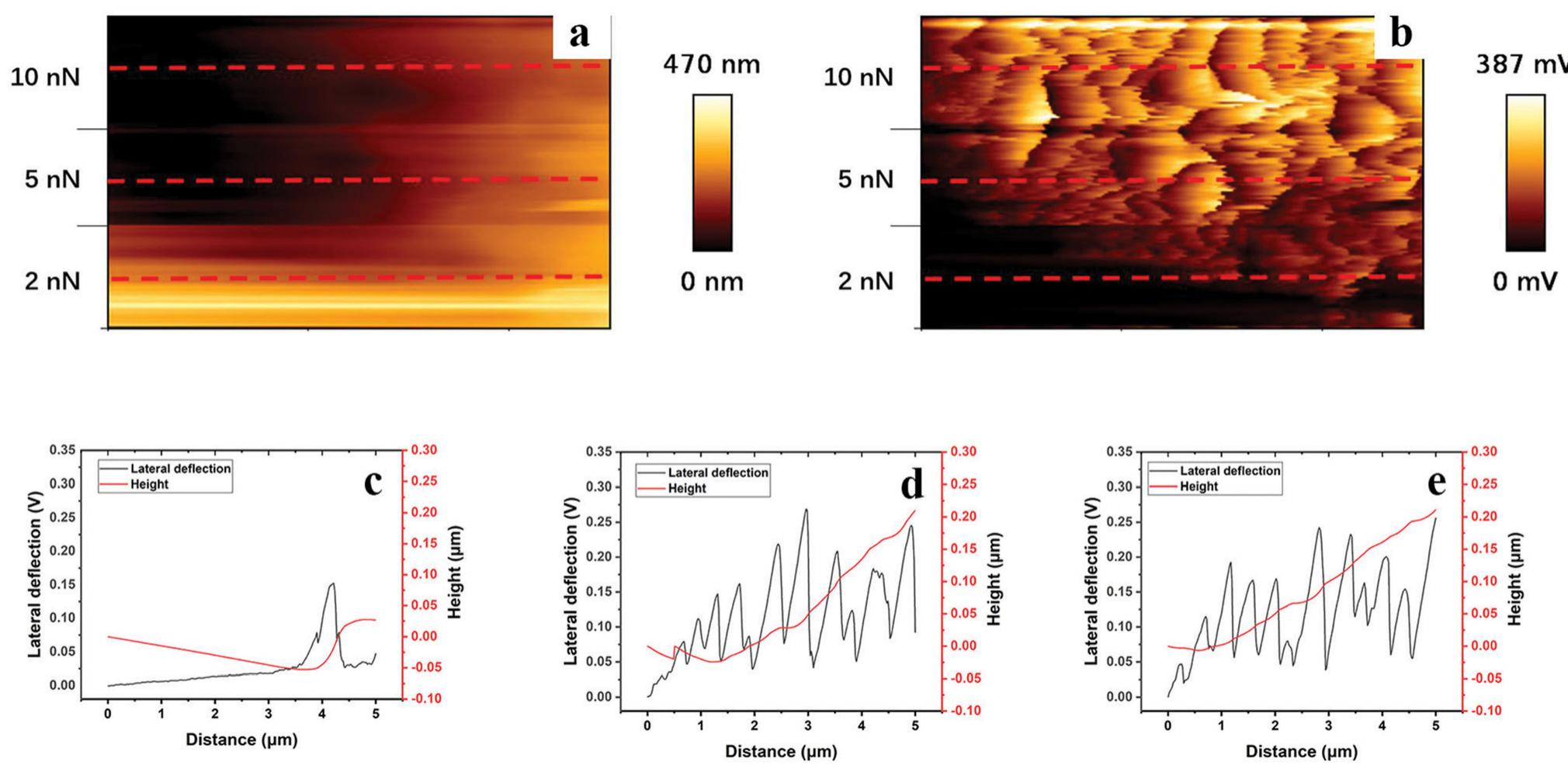 Polyhema Height (a) and lateral cantilever deflection (b) maps (1 x