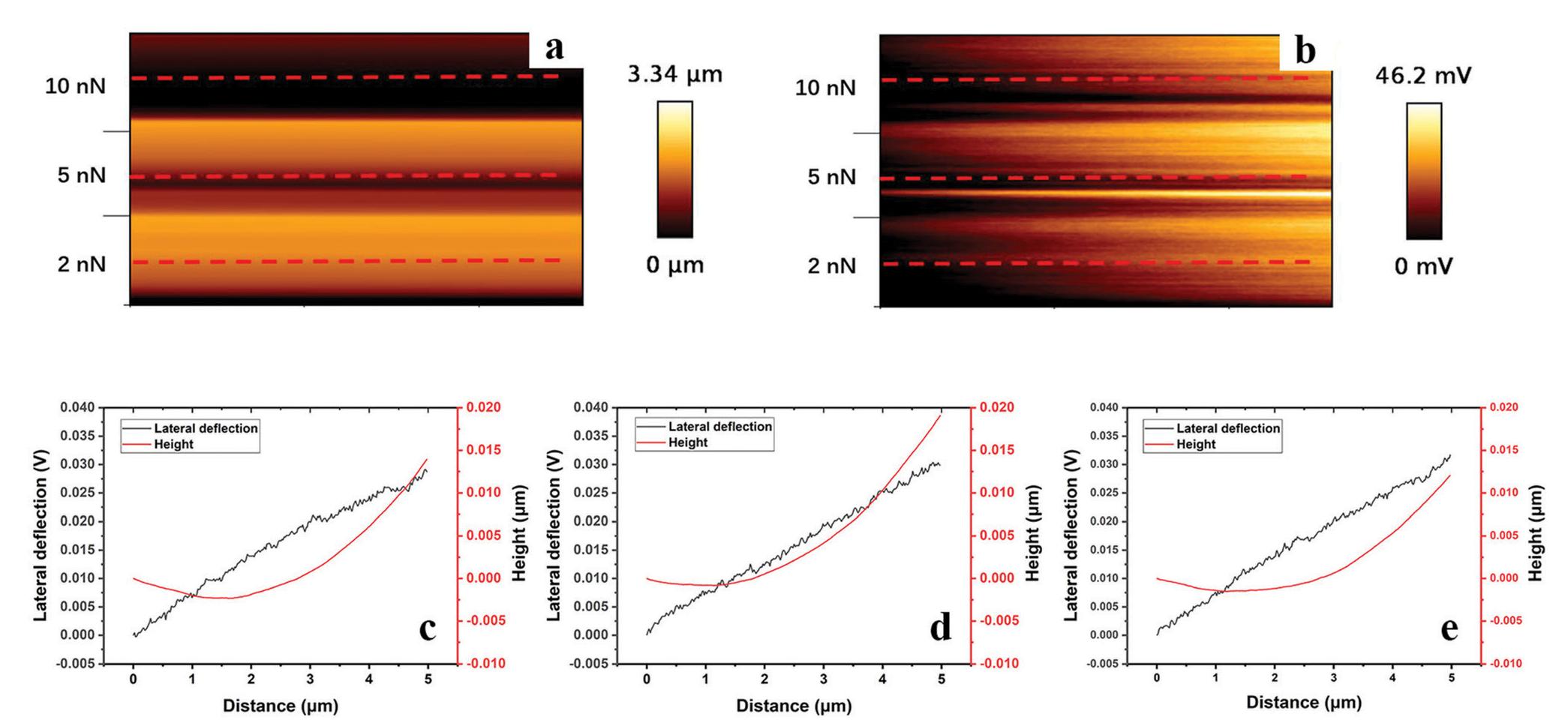 Polyhema Height (a) and lateral cantilever deflection (b) maps (1 x