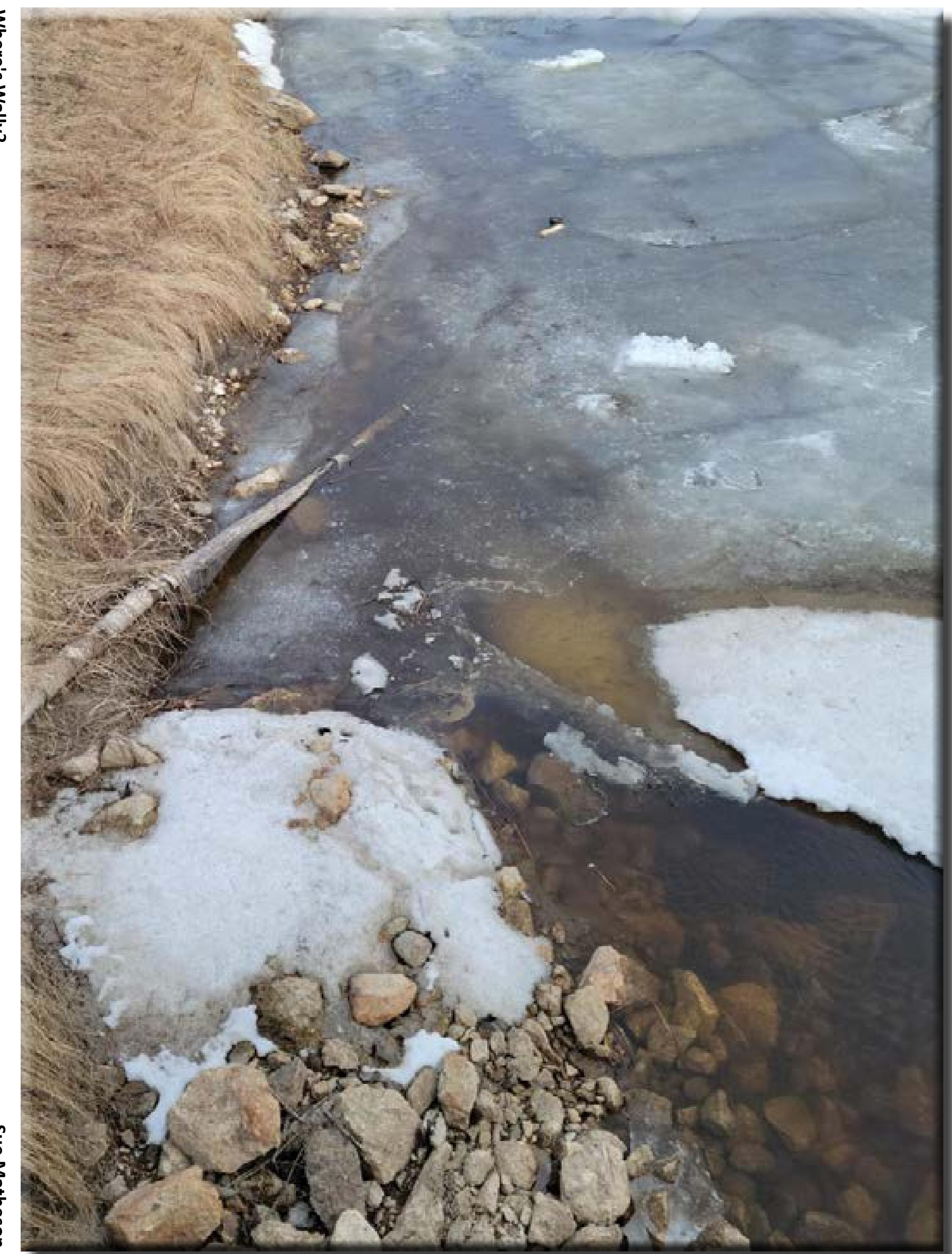 the quint : an interdisciplinary quarterly from the north 