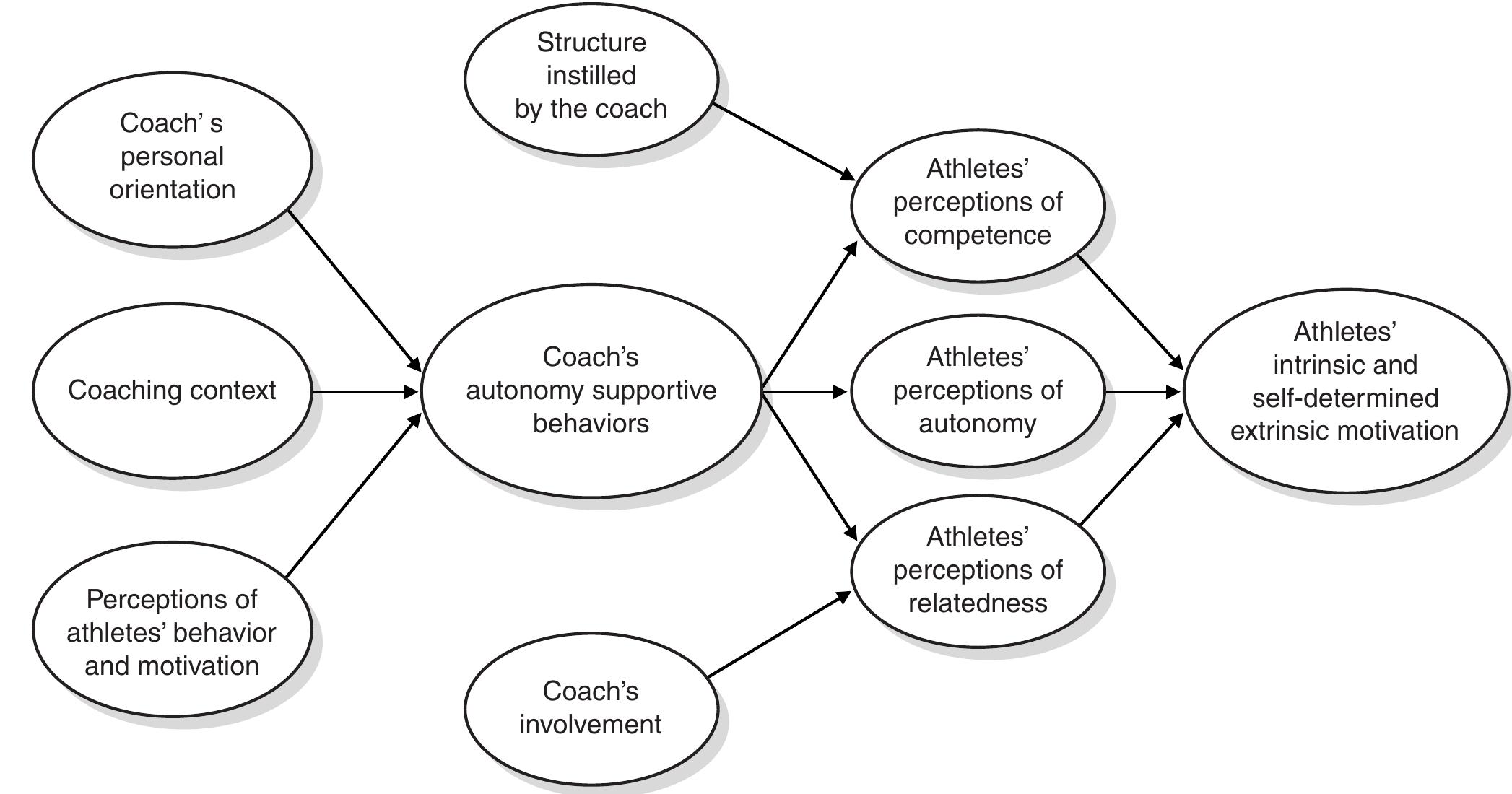 (PDF) Intrinsic and Extrinsic Motivation in Sport and Physical Activity ...
