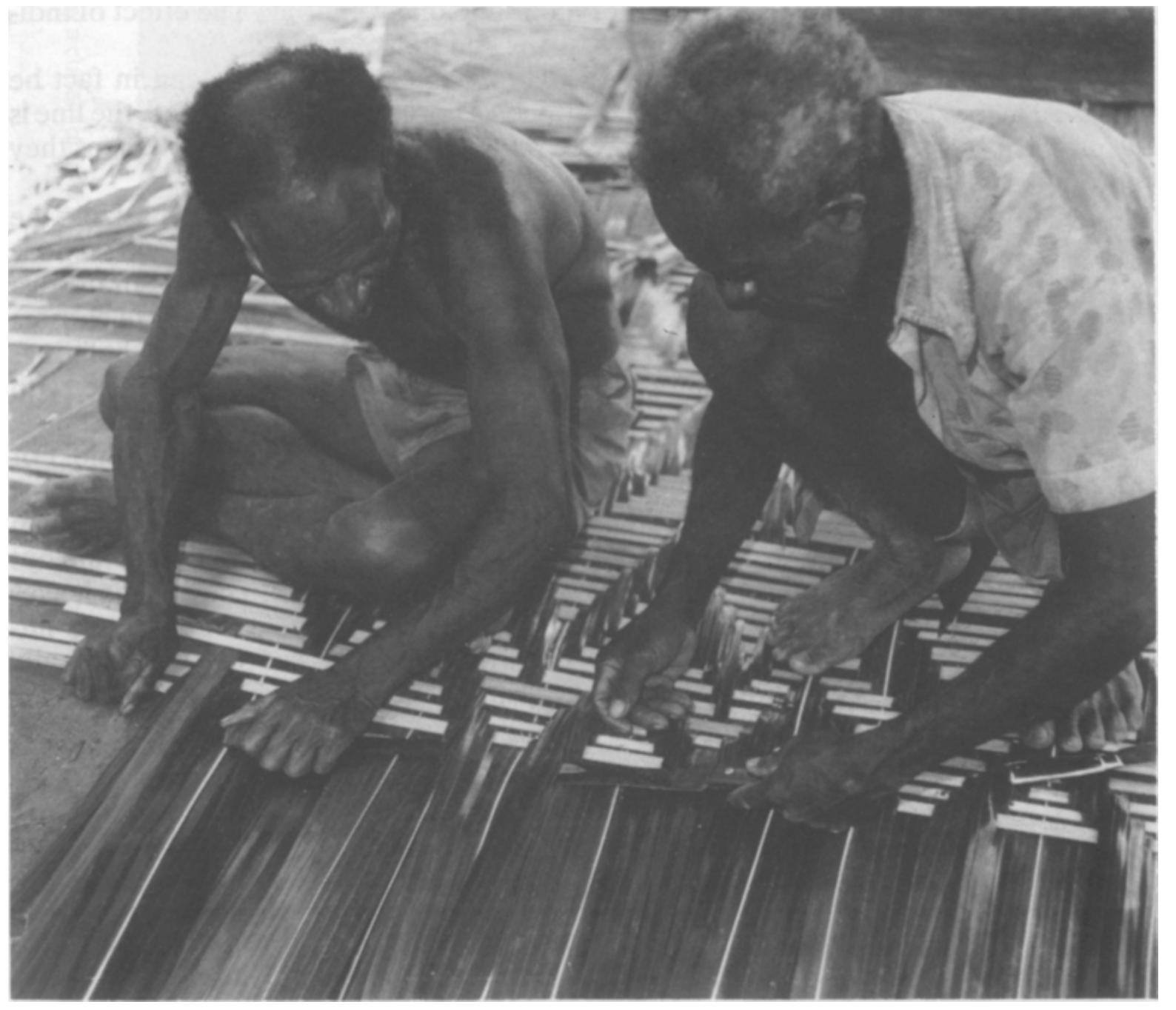 Sago Mat (PDF) The Thrill of the Line, the String, and the Frond, or why the ...