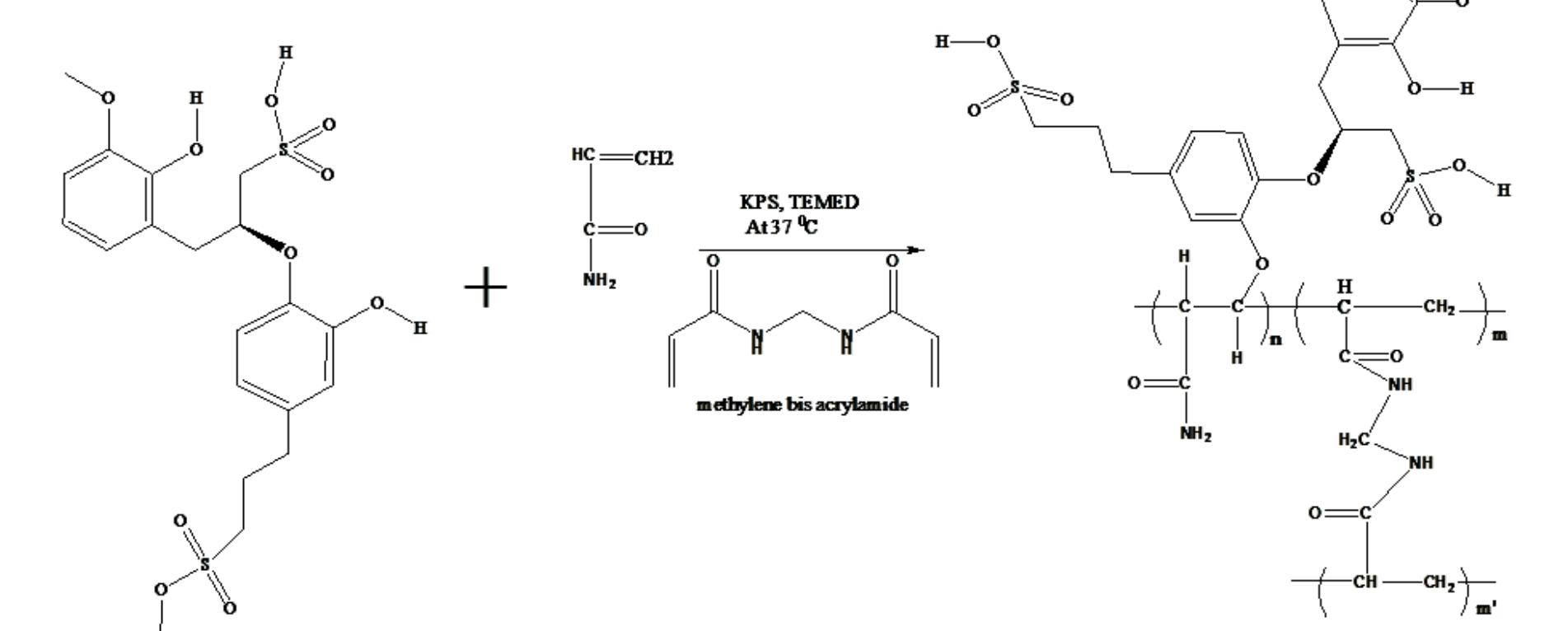 X-rd spectra of (a) aam-lsa hydrogels, (b) snchs hydrogels.