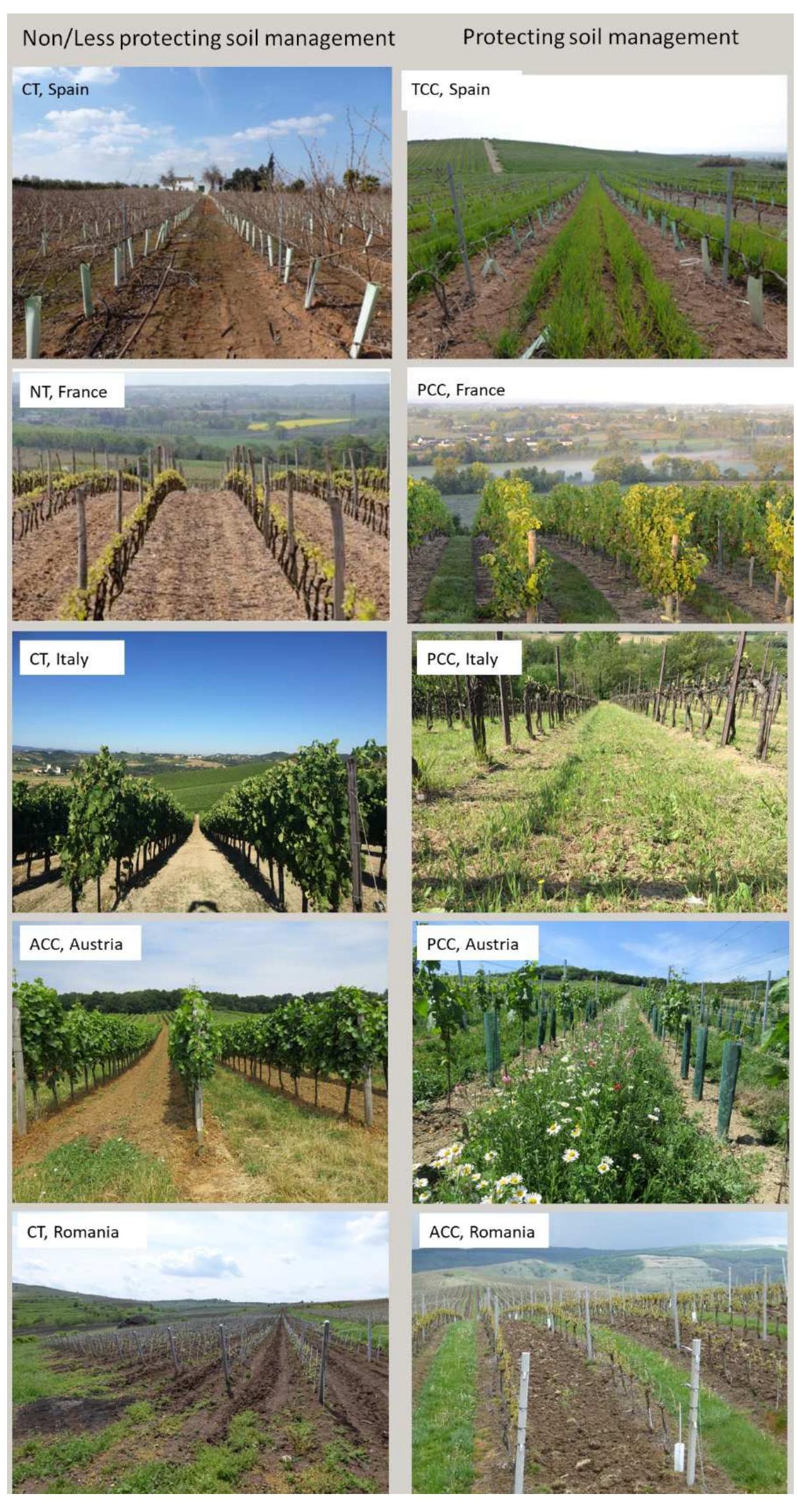 Figure 3 - Evaluation of soil erosion risk and