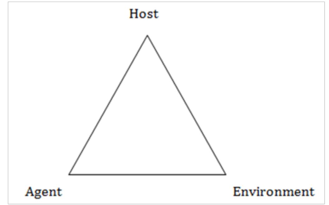 Figure 13 - from 