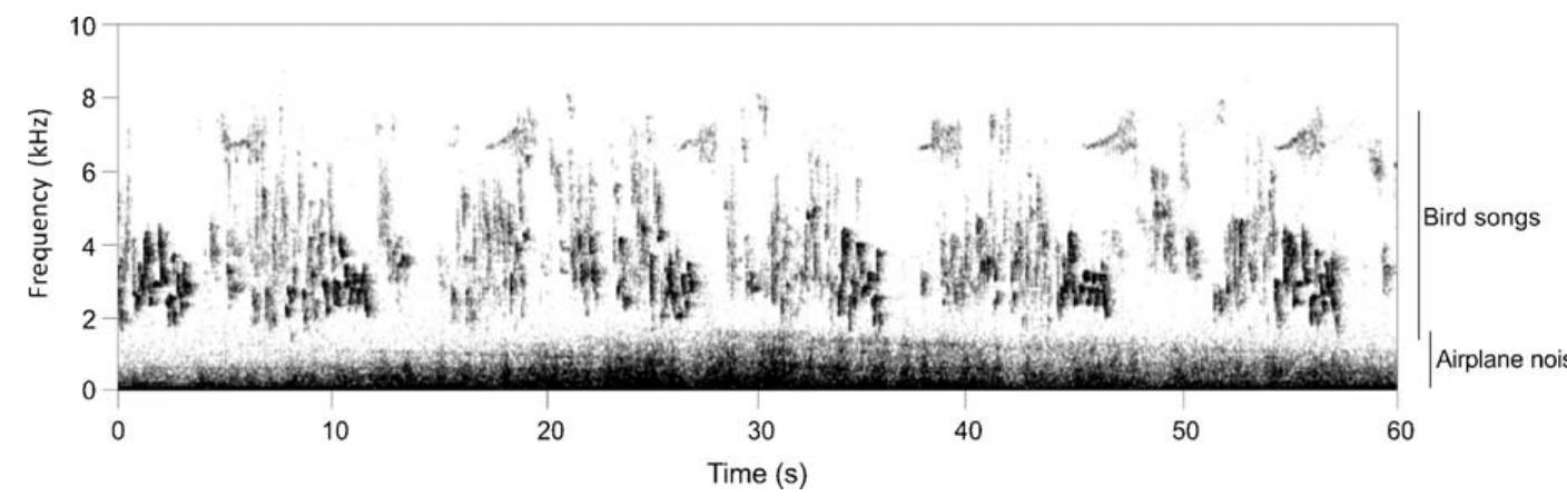 Spectrogram representing a typical scene of the airplane