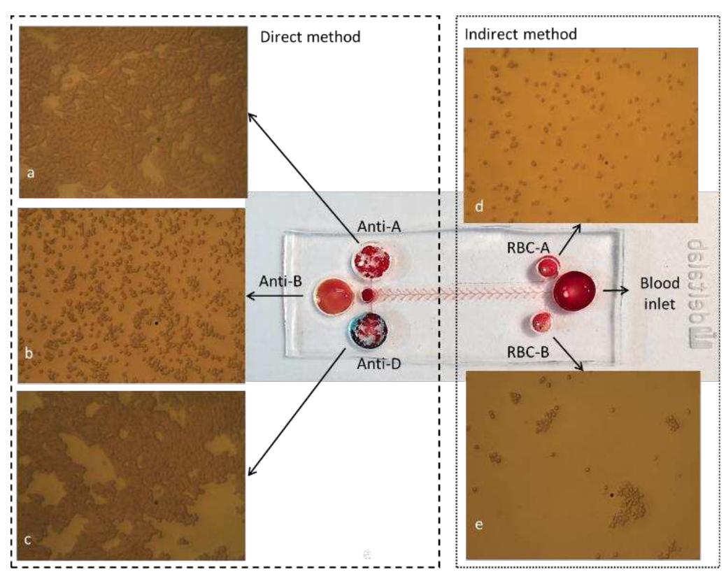 The real device. the microscopic pictures of reaction of