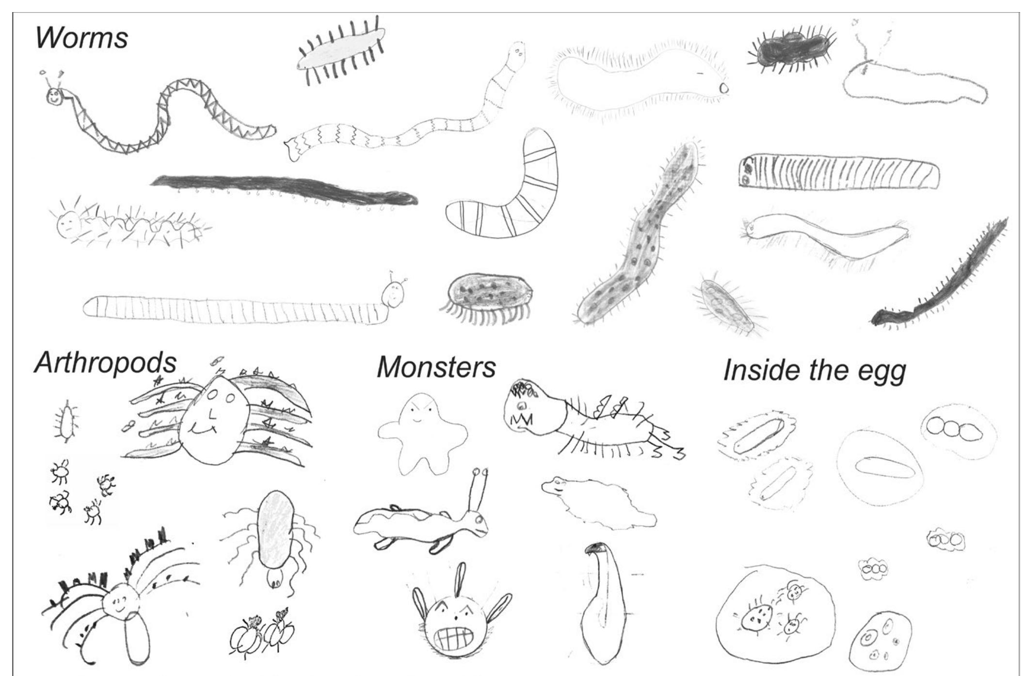Parasitism Drawing.pdf (PDF) Prevention of intestinal parasites in a tri-border area of Latin ...